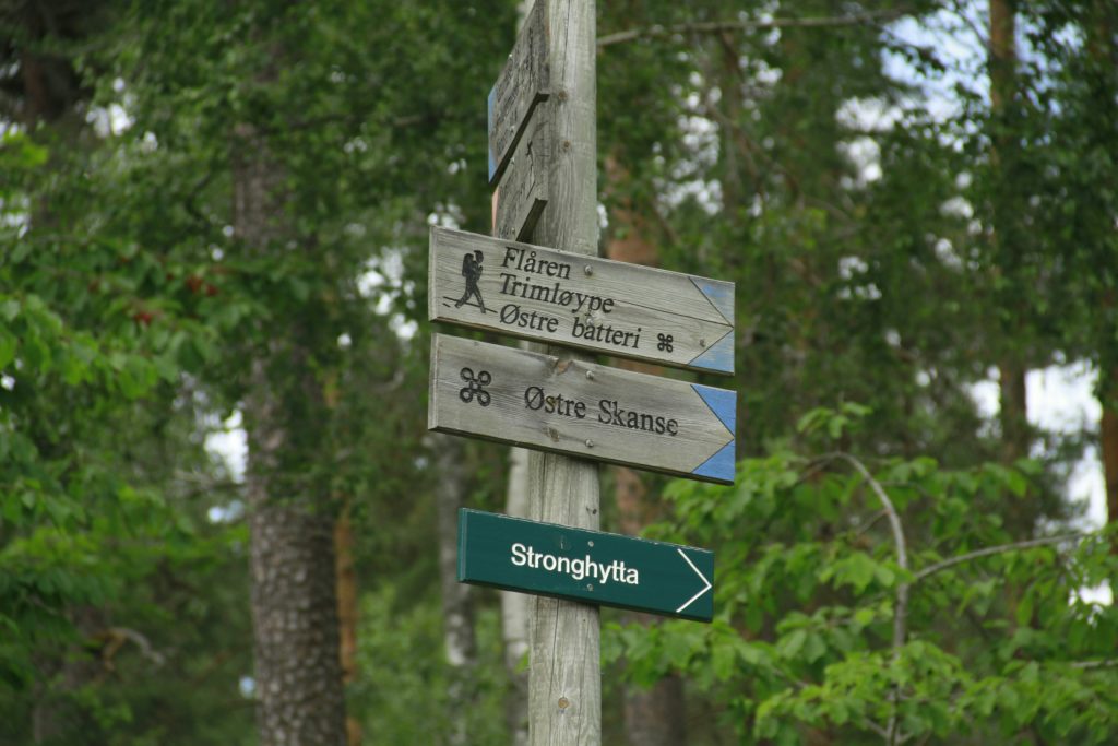 deux parcours jeunes différents